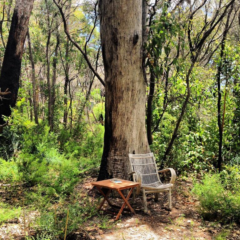 Bed and Breakfast Wilderness House à Margaret River Chambre photo